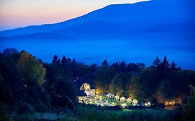 Вілла Квітка